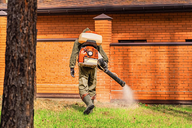 Bed Bug Clearance Verification and Documentation in Thermal